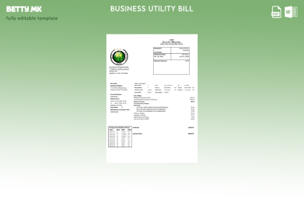 модерен стил Белизе Electricity Limited шаблон за деловна сметка за електрична е